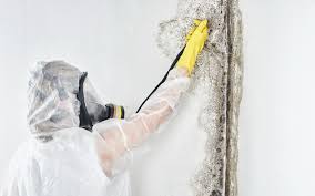 Best HVAC Mold Inspection and Cleaning  in Stepney, CT